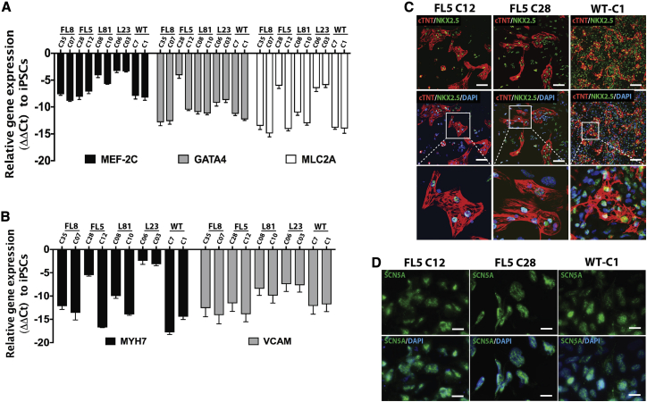 Figure 2