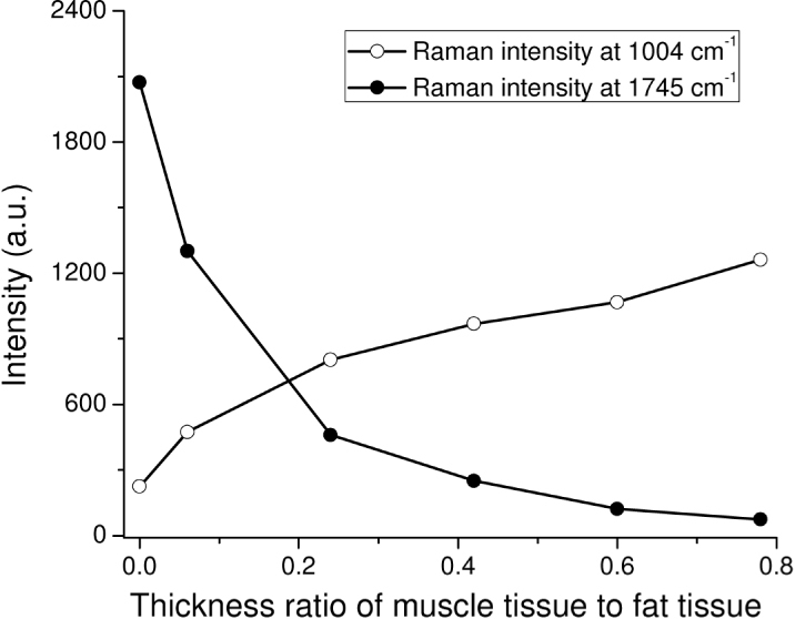 Fig. 14