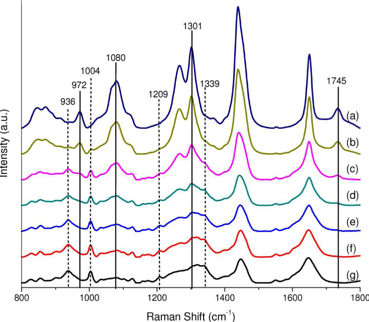 Fig. 13