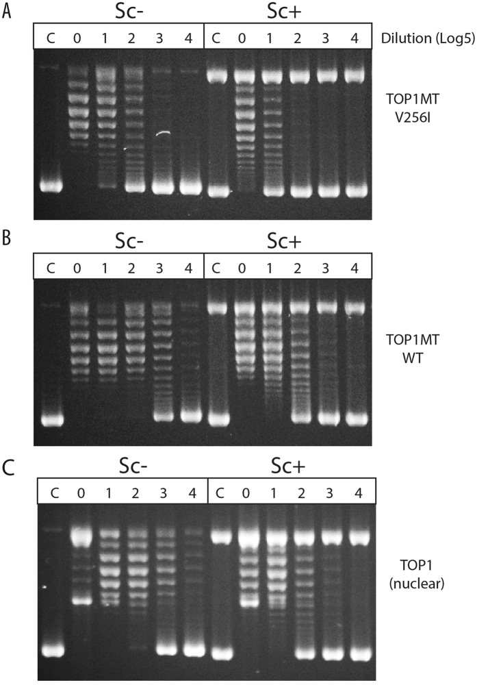 Figure 5