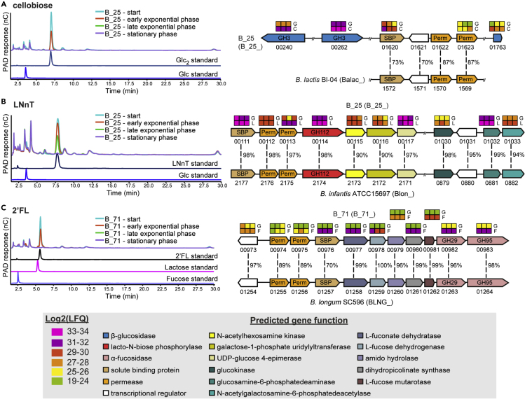 Figure 6