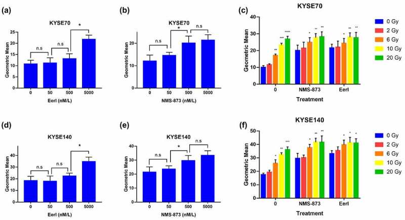 Quantitative analysis of CALR expression on the surface of EC cells after treated with ERAD inhibitors and/or RT.