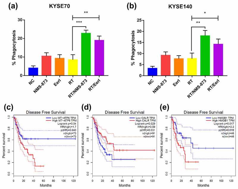 Dying EC cells provided several “eat me” signals and were engulfed by immune cells. The “eat me” components were correlated with the prognosis of EC patients.