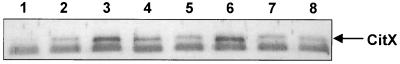 FIG. 5.