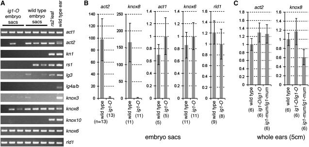 Figure 10.