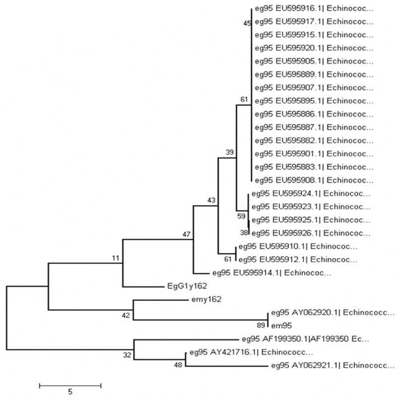 Figure 5