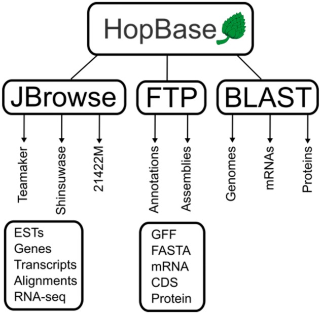 Figure 2.