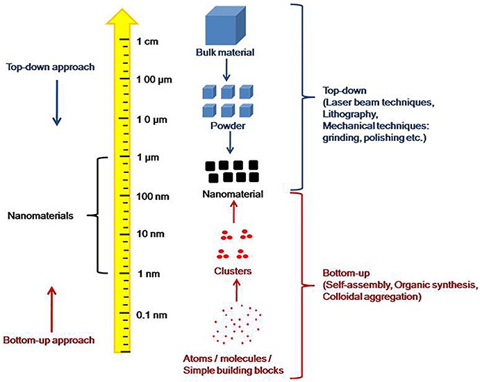 FIGURE 1