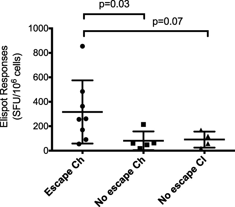 FIG 6