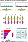 Graphical Abstract