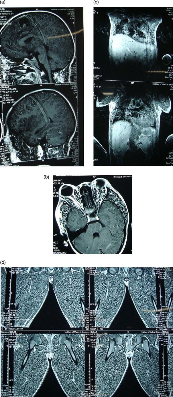 Figure 6