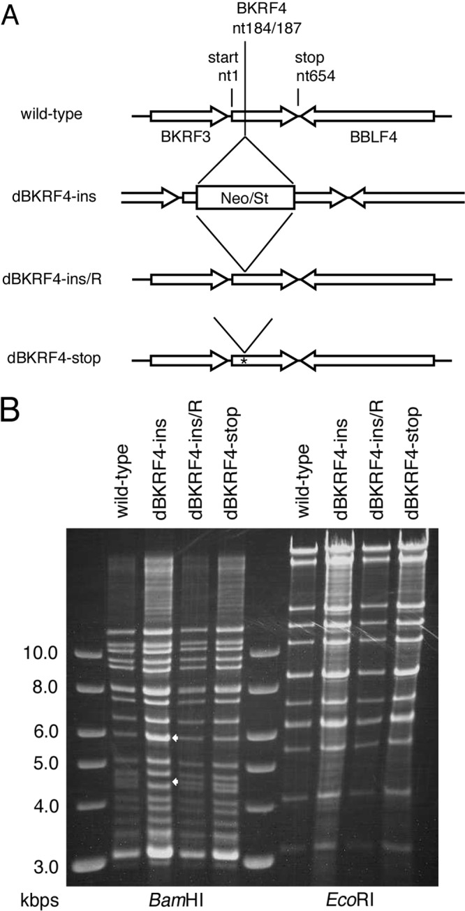 FIG 2