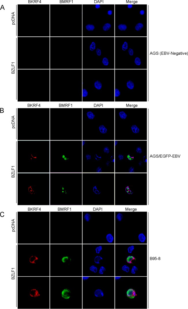 FIG 6