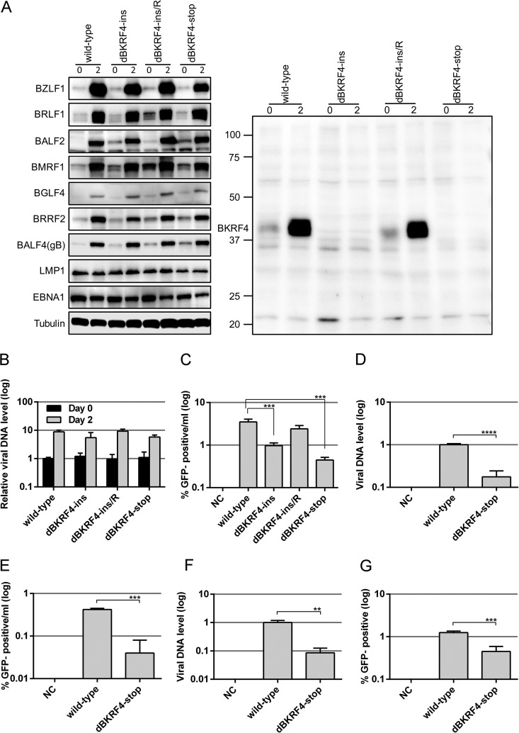 FIG 3