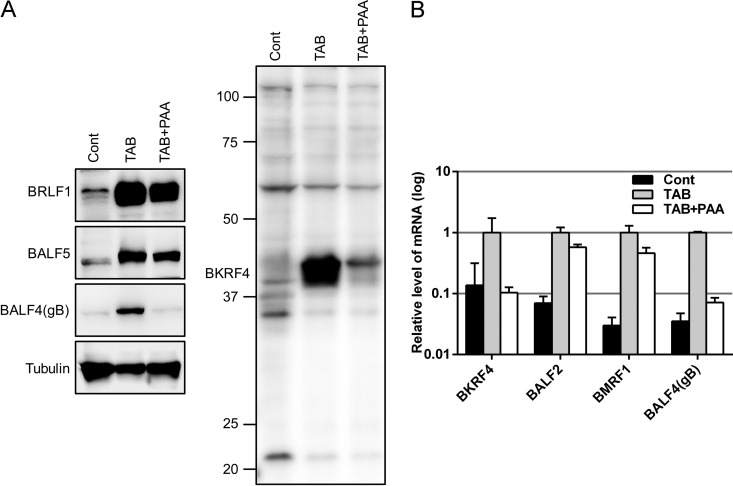 FIG 1