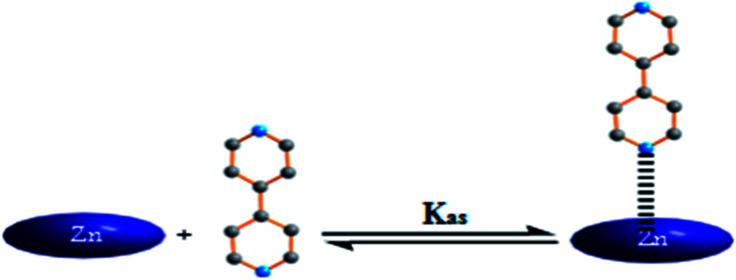 Fig. 10