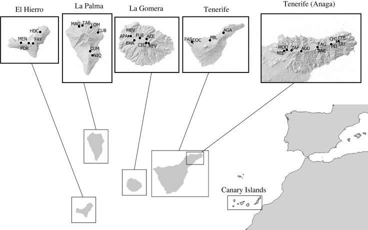 Figure 1. 