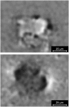FIGURE 11