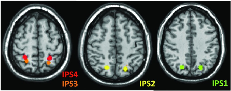 FIG. 1.