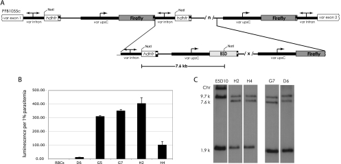 Fig. 3.