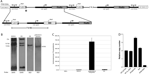 Fig. 2.