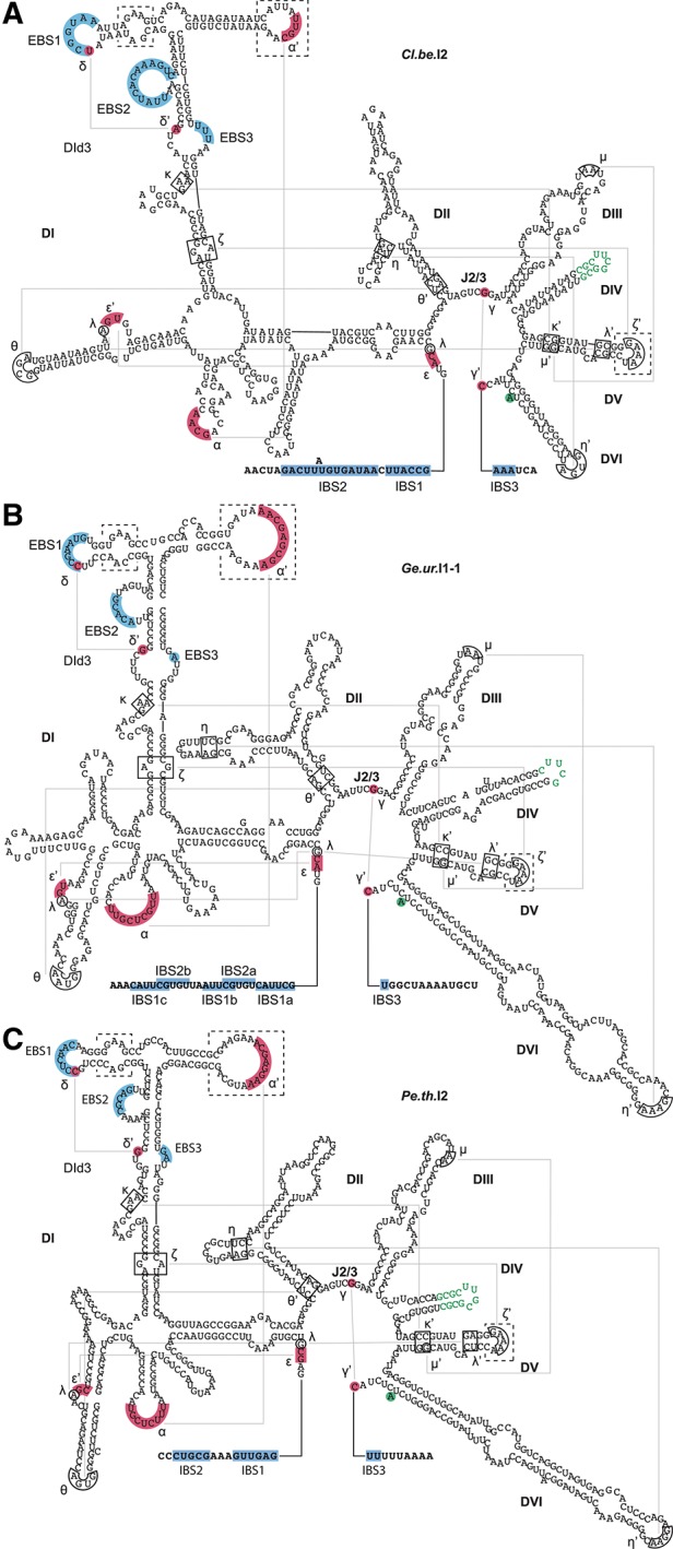 FIGURE 1.