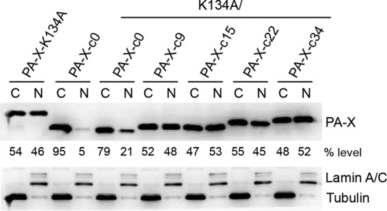 FIG 3