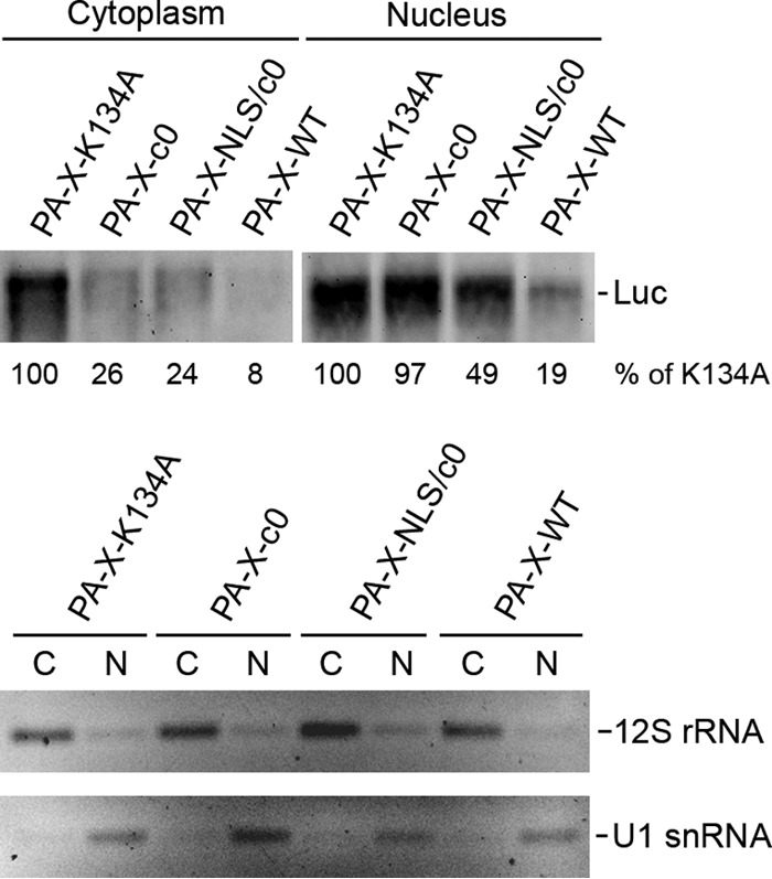 FIG 5