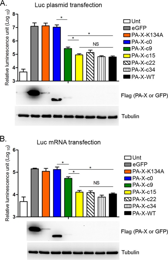 FIG 6