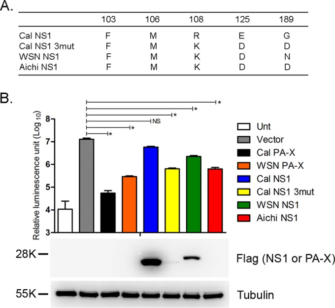 FIG 1