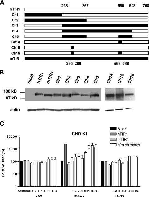 FIG. 7.