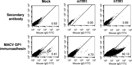 FIG. 6.