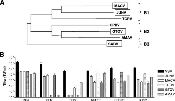 FIG. 1.