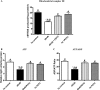 Figure 5