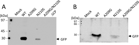 Fig. 9.