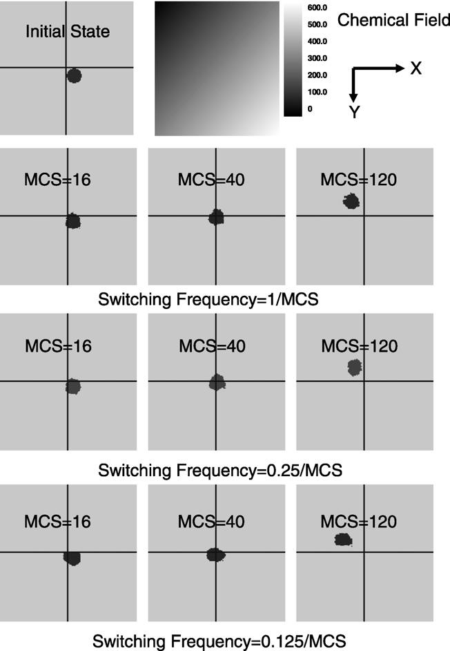 Fig. 13