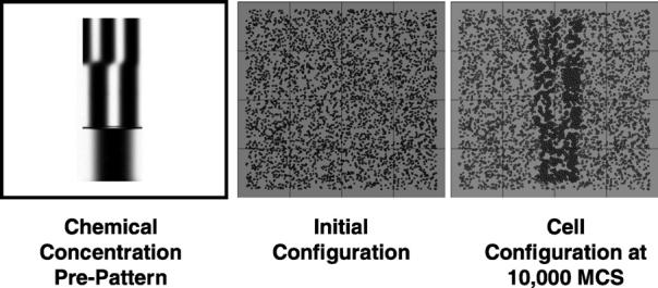 Fig. 15