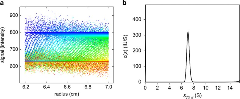 Fig. 10