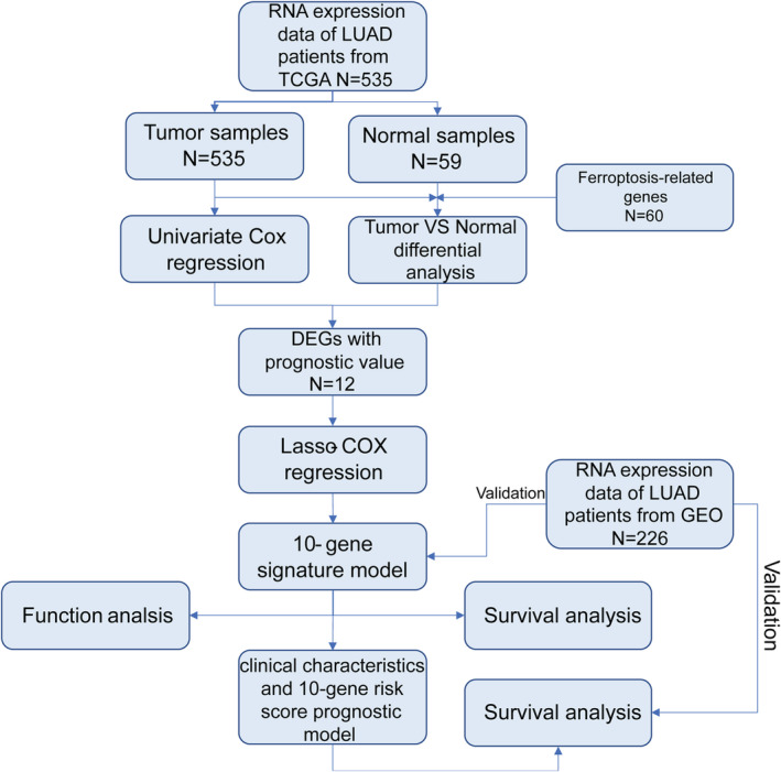 FIGURE 1