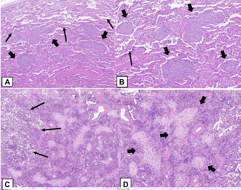 Figure 20