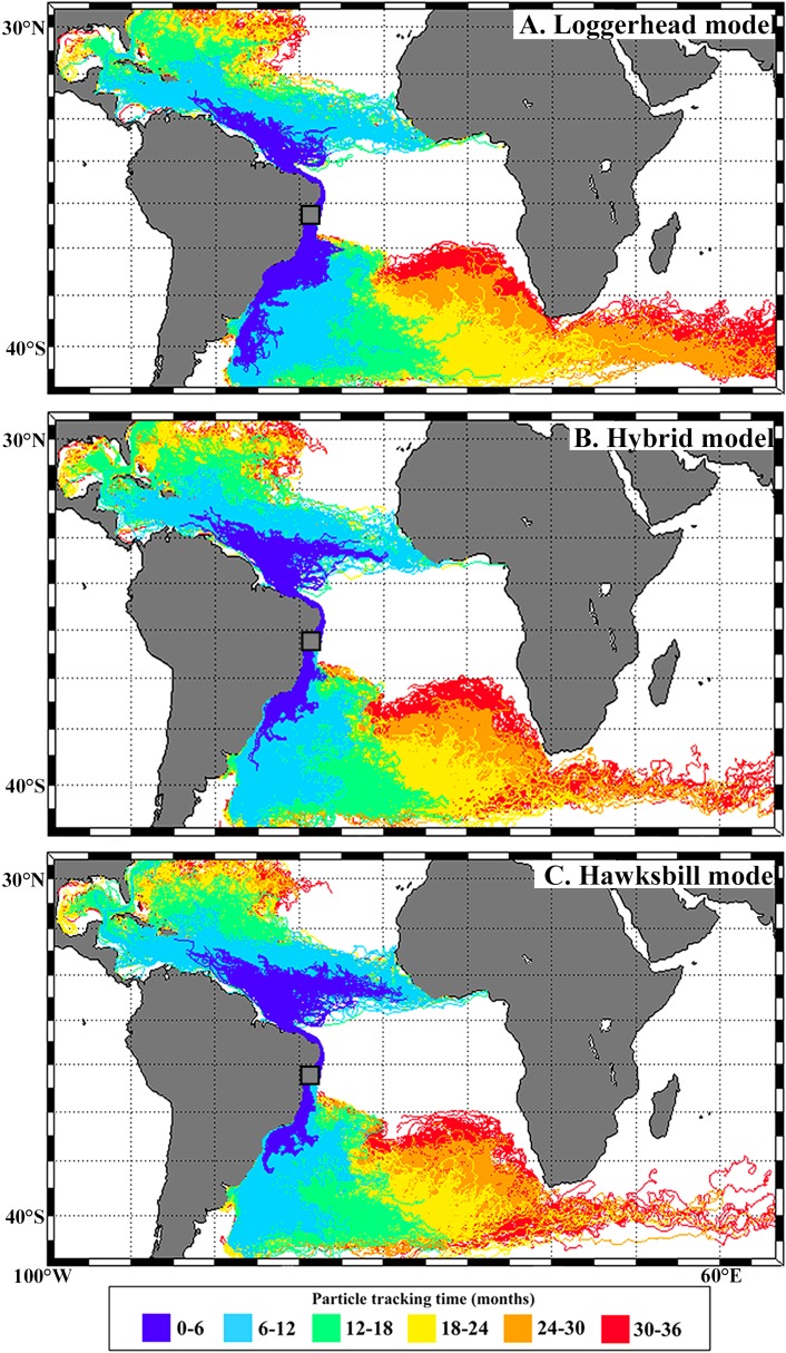 Figure 3