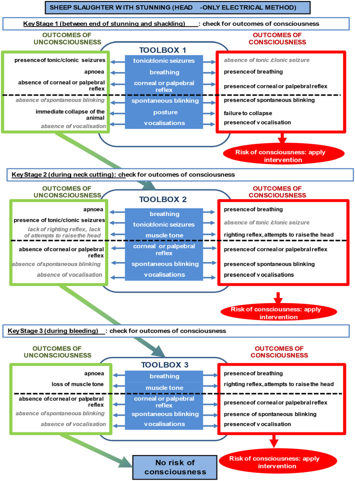 Figure 12