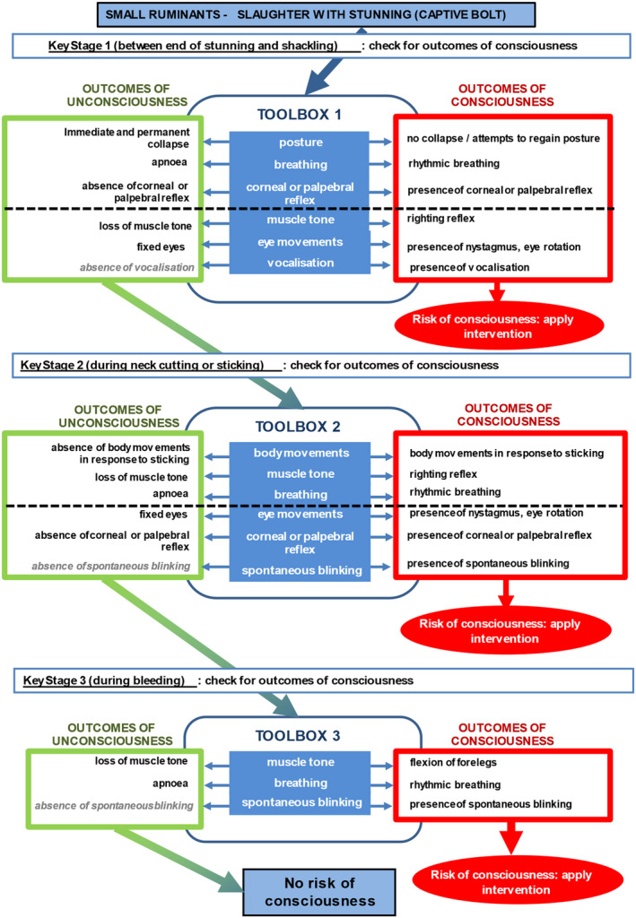 Figure 21