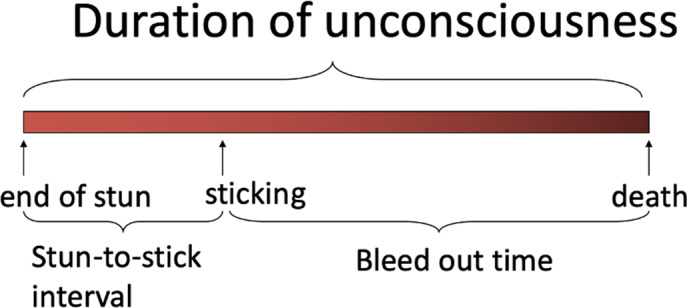 Figure 22