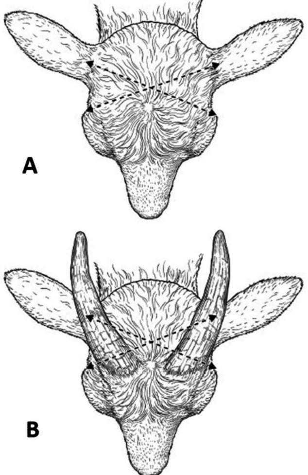 Figure 13