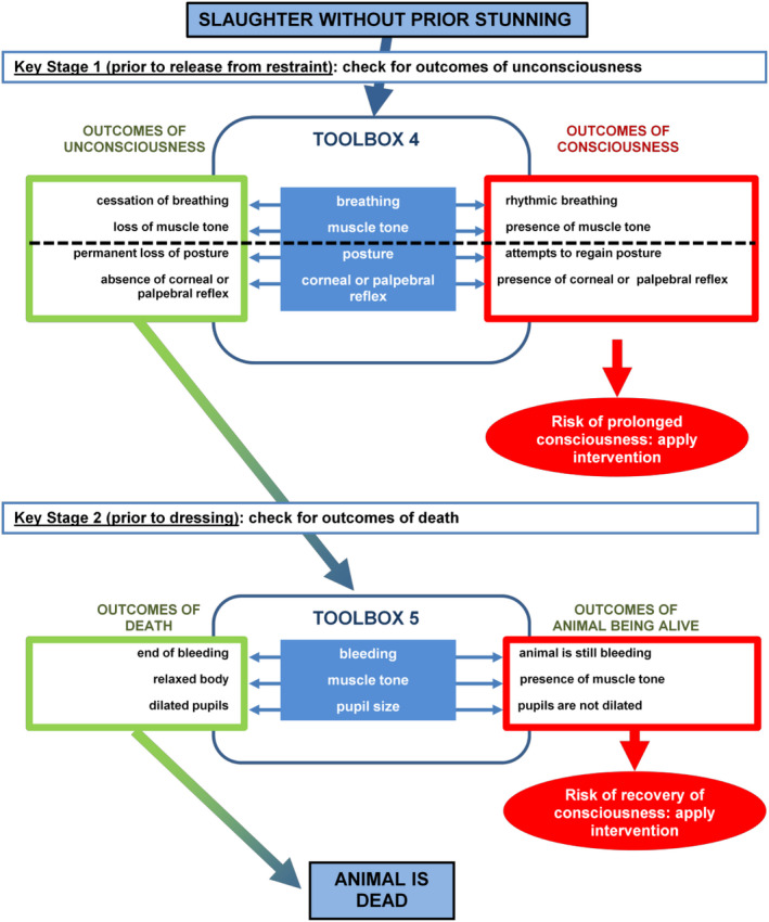 Figure 24