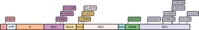 Fig. 2