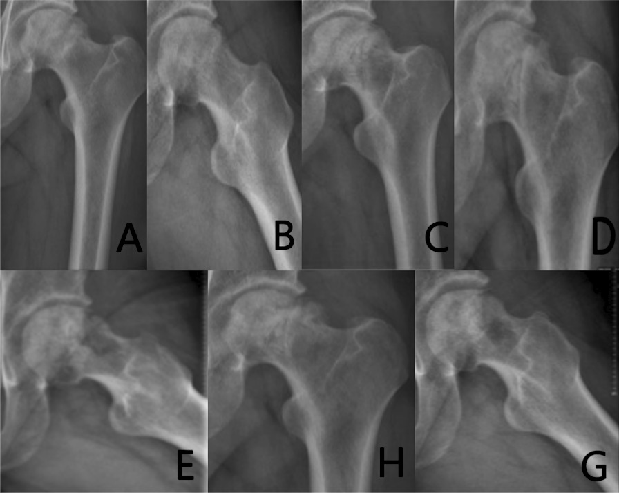 Fig. 7