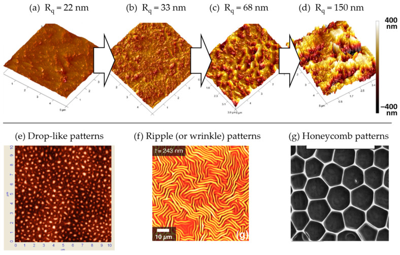 Figure 11