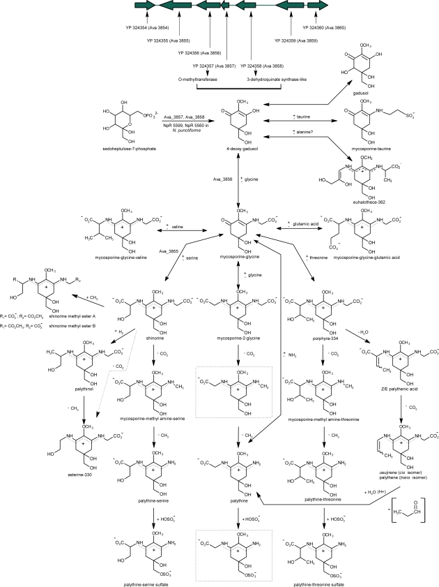 Figure 6.